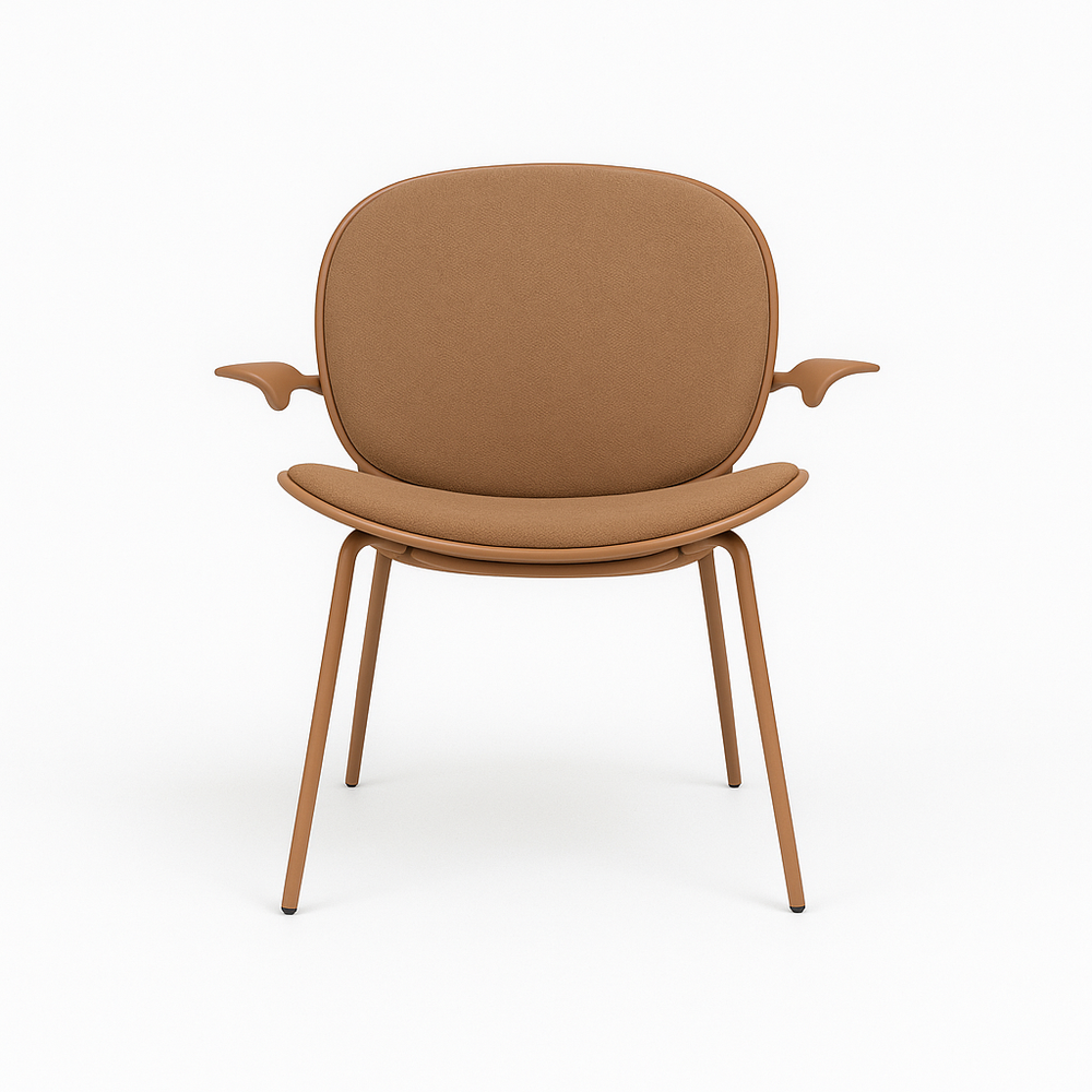 Armchair | D-030C