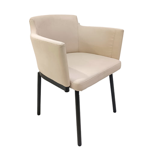 DINING CHAIR | DC406