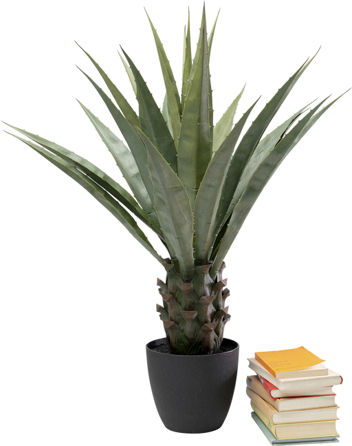 Deco Plant Agave 85cm